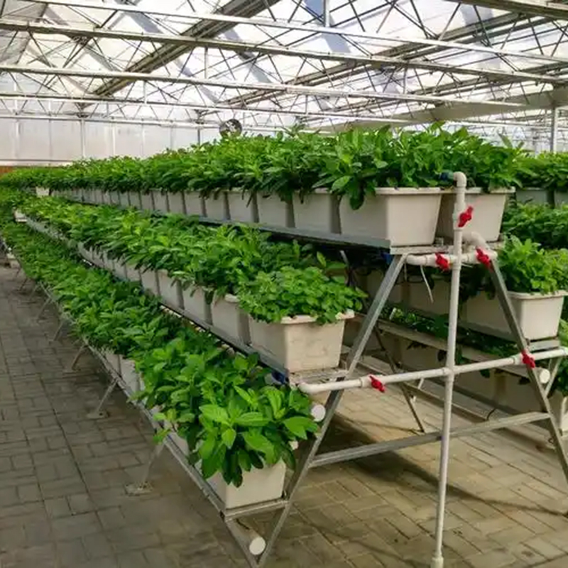 泸州市植物工厂无土栽培 - 哪里好